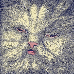Mimi Album cover. The entire cover is a very detailed drawing of what appears to be a brown-furred cat. The cat looks like it is about to sneeze, with its eyes squinting at the camera and its mouth slightly ajar.