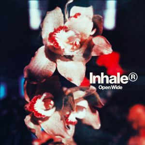 Inhaler Open Wide Album Cover