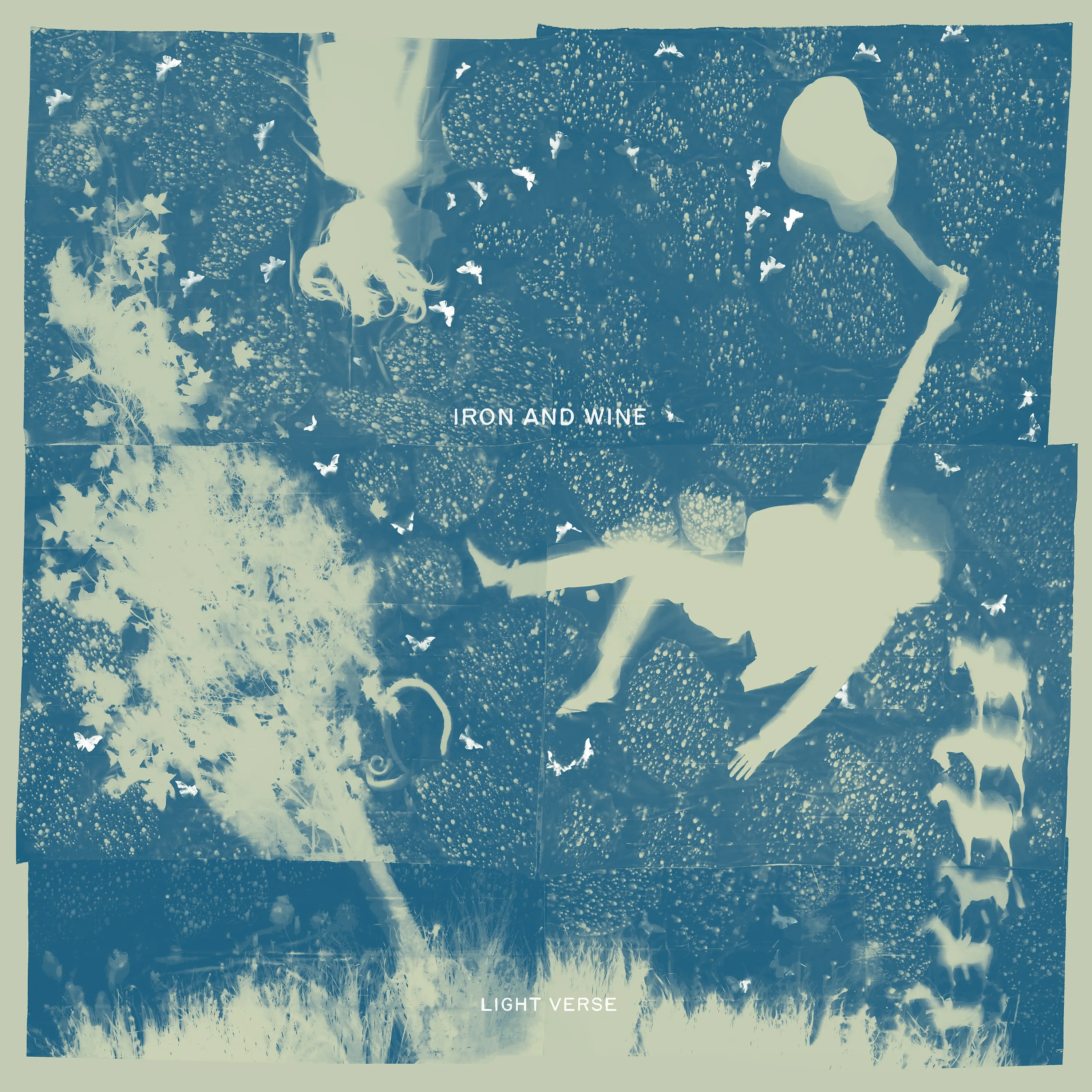 Light Verse album cover. A sea of light blue and white specs, some resembling birds and horses. The album title and band name are displayed in small text toward the center of the cover.