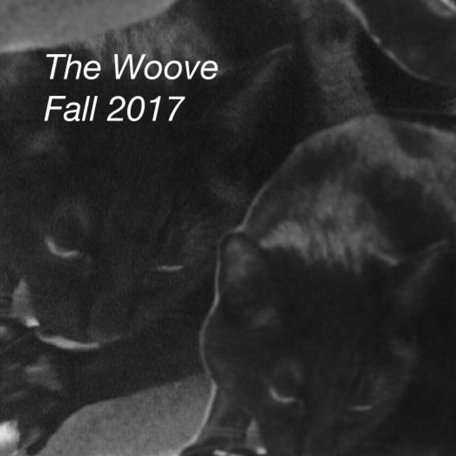 woove_fall_2017_logo