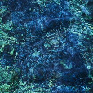 Luminescent Creatures Album Cover