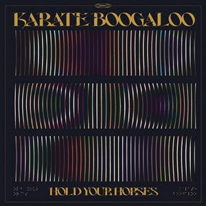 Karate Boogaloo- Hold Your Horses album cover. Black background with yellow lettering of the album title and group name. The near entirety of the album cover is a hodge-podge of colors fading in and out of black.